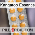 Kangaroo Essence levitra1